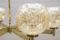 Lámpara de araña de 8 brazos de latón de Sciolari, años 60, Imagen 7