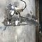 Industrial Cast Aluminium, Glass & Brass Flameproof Ceiling Lamp, 1970s, Image 8