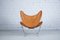 Vintage Butterfly Chair by Antonio Bonet, Juan Kurchan, & Jorge Ferrari-Hardoy for Knoll International 1