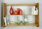 Large Red Elm Wall Shelf, 1950s 3