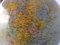 Vintage Globe from JRO, 1950s, Image 9