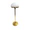 Glass and Brass Floor Lamp, 1960s, Image 1