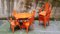 Vintage Tolix Chairs von Xavier Pauchard für 15WEST Studio, 4er Set 1