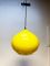 Large Mid-Century Glass Pendant by Alessandro Pianon for Vistosi 6