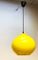 Large Mid-Century Glass Pendant by Alessandro Pianon for Vistosi 2