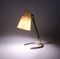 Lampe de Bureau en Laiton avec Abat-Jour en Fibre de Verre, Suède, 1950s 2