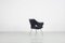 Set of Leather Armchairs by Gastone Rinaldi, 1950s 4