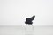 Set of Leather Armchairs by Gastone Rinaldi, 1950s 8