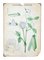 Antique Swedish Botanical Poster, Image 1