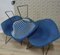 Sedia Diamond modello 421 di Harry Bertoia per Knoll, anni '50, Immagine 4