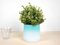 Cache-Pot Medium FlowerTop de Studio Lorier 8