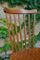 Vintage Dining Chairs from Baumann, Set of 4, Image 5