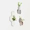 Teumsae Wandvasen in reinem Weiß von Extra&ordinary Design, 4er Set 3
