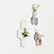 Vases Muraux Teumsae Blanc Immaculé par Extra&ordinary Design, Set de 4 3