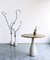 Small TREE LIGHT Floor Lamp by Ron Arad for Zeus 3