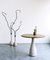 Small TREE LIGHT Floor Lamp by Ron Arad for Zeus 2