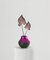 Mykonos Vase by May Arratia for MAY ARRATIA Studio 2