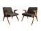 Bunny Armchairs from Dolnośląskie Fabryki Mebli, 1960s, Set of 2, Image 1