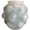Tulipes Opalescent Vase by René Lalique, 1927, Image 1