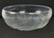 Vintage Opalescent Ondines Bowl by René Lalique 4