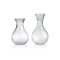 Routine Low Carafe in Transparent Blown Glass by Matteo Cibic for Paola C., 2018, Image 2