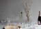 Handgefertigte irische Champagnerflöten aus Kristallglas aus Cuttings Serie von Martino Gamper für J. HILL's Standard, 2er Set 4