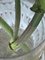 Irish Handmade Crystal Cuttings Series Carafe or Vase by Martino Gamper for J. HILL's Standard, Image 4