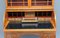 Antikes Bücherregal aus Satinholz mit Rollfach von Edwards & Roberts 14