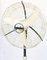 Fan from Marelli, 1950s 2