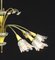 French Chandelier from Maison Lunel, 1950s, Image 4