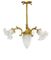 Antique Belle Epoque Chandelier 1