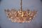 Gilt Brass and Glass Chandelier from Palwa, 1960s 7