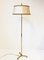 French Brass Lion-Legged Floor Lamp, 1950s 3