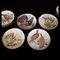 Game Birds of the World Decorative Plates by Basil Ede for Franklin Porcelain, 1978, Set of 11 2