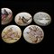 Game Birds of the World Decorative Plates by Basil Ede for Franklin Porcelain, 1978, Set of 11 4