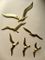 Mid-Century Brass Seagulls Wall Decoration from Superbrass, 1960s, Set of 6 2