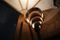 Lampe de Bureau Pavone par Duccio Trassinelli 6