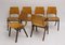 P7 Chairs by Roland Rainer, 1950s, Set of 6 4