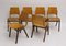 P7 Stühle von Roland Rainer, 1950er, 6er Set 4