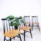 Vintage Model Fanett Chairs by Ilmari Tapiovaara for Edsbyverken, Set of 4, Image 2