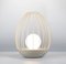 Ova Series Egg Table Lamp with Yellow Metal Cage by Dror Kaspi for Ardoma Design 3