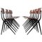 Compass Leg Dining Chairs from Marko, Set of 8 1