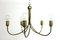 Lámpara de araña de latón de Rupert Nikoll, años 50, Imagen 1