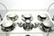 Coffee Service in Silvered Porcelain from RW Bavaria, 1920s, Set of 11 8