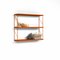 Orange Tria Pack Wall Shelf by J.M. Massana & J.M. Tremoleda for Mobles 114 3