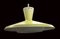 NB 92 Pendant by Louis Kalf for Phillips, 1950s 4