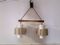 Teak Ceiling Lamp with 2 Lights, 1970s 2