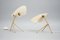 Mid-Century Table Lamps, 1950s, Set of 2 11