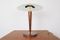 Mid-Century German Desk Lamp, 1950s 2