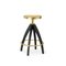 Leporello Junior Bar Stool by P. Rizzatto for Ghidini 1961 1